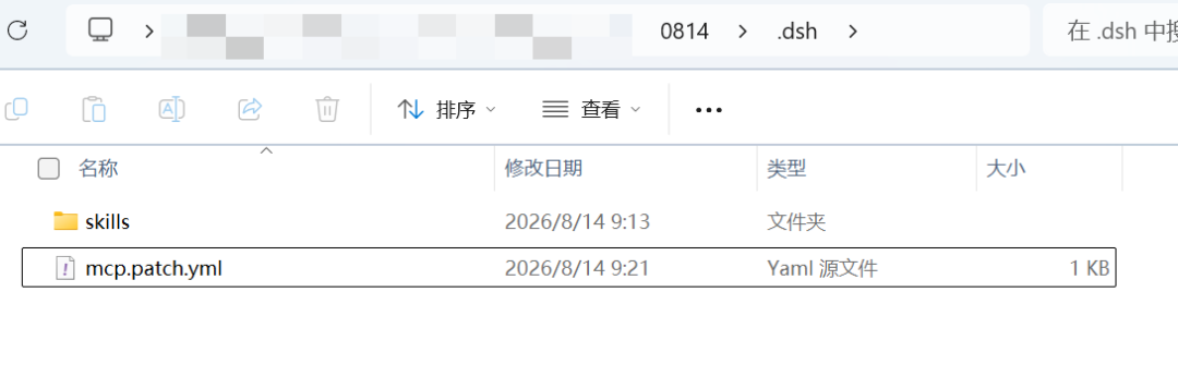 项目 .dsh 目录，显示 skills 与 mcp.patch.yml