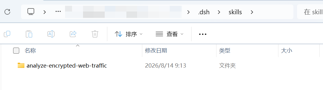 项目 .dsh 目录下的 skills 文件夹