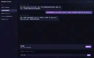 绝区零 · 伊德海莉 night preview